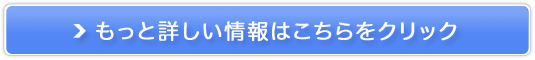 skyticket.jp͊COiq󌔗\TCg̔TCg